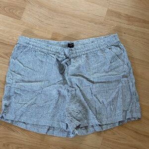 J. Crew Women's Blue Striped Shorts